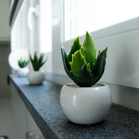 Anna Maria's Maisonette Ii *